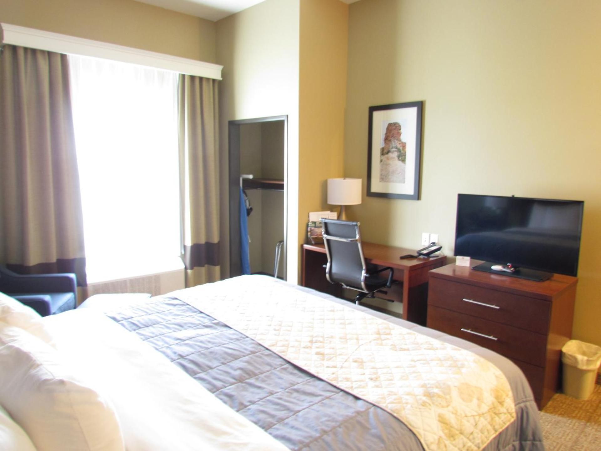 King Suite