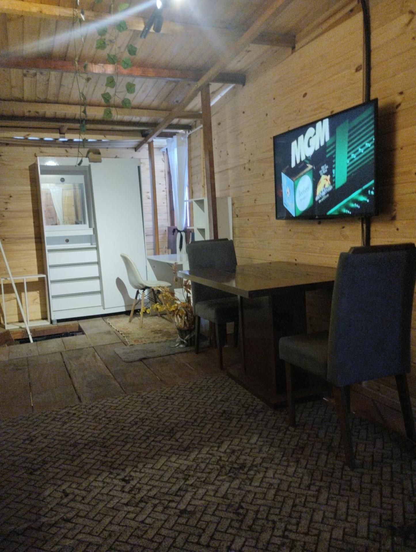 Bunk Bed in Mixed Dormitory Room