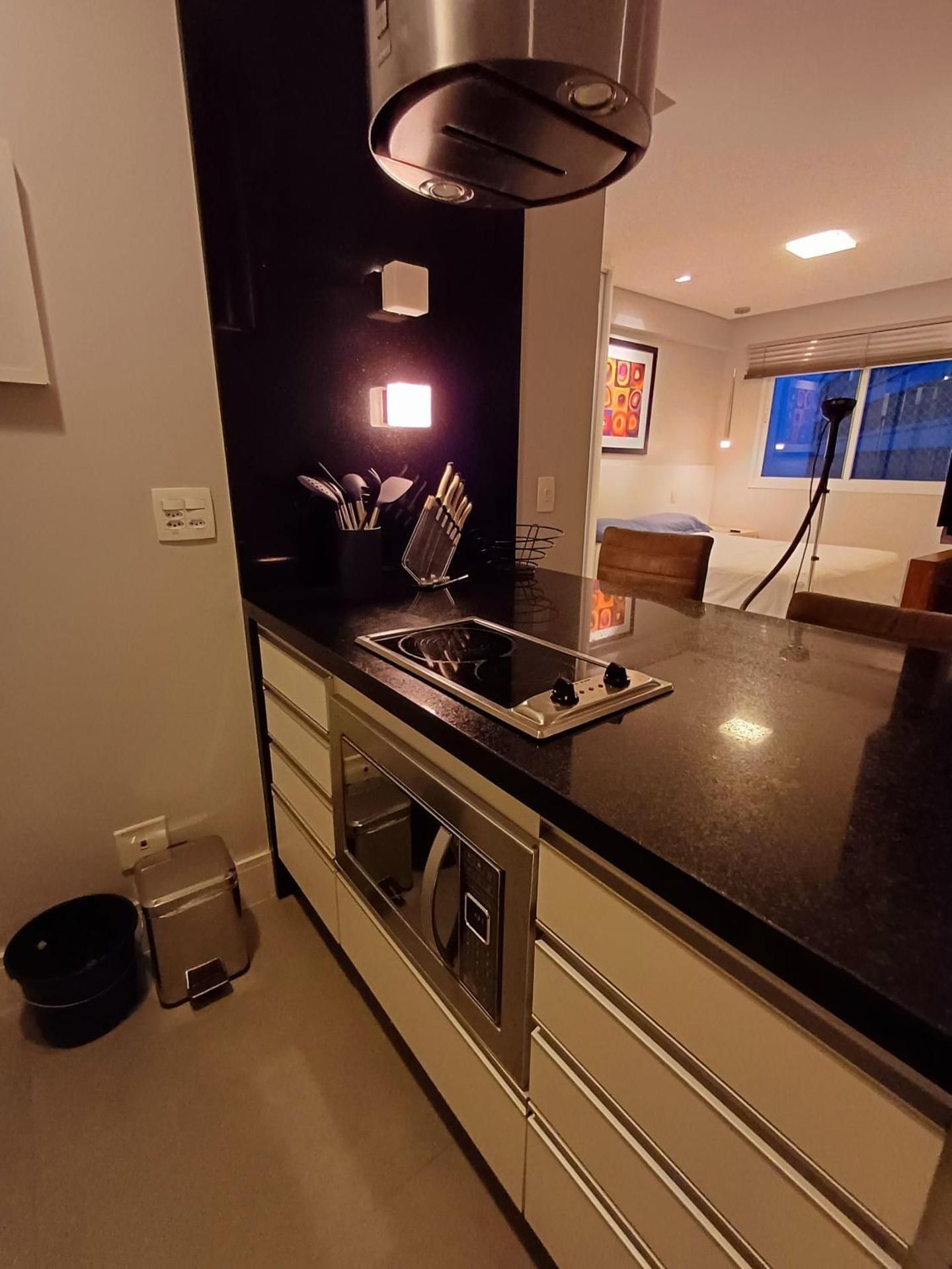 Deluxe One-Bedroom Apartment with City View