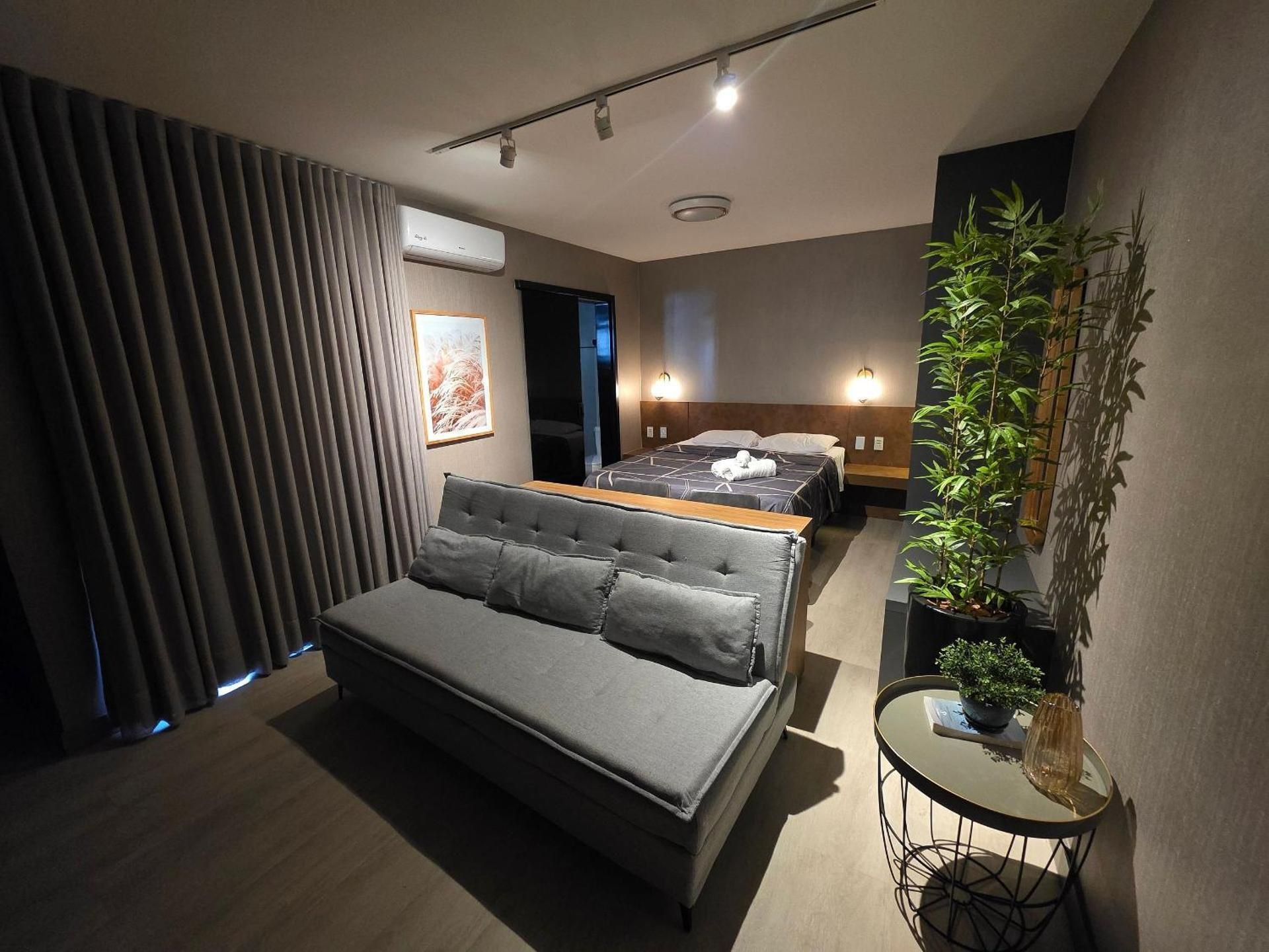 Deluxe One-Bedroom Apartment
