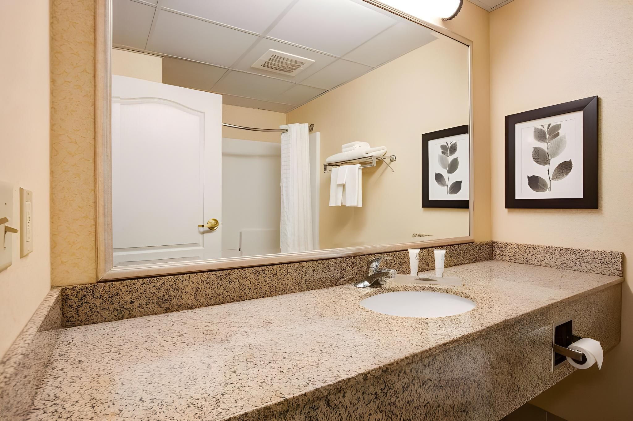 Comfort Inn & Suites St. Paul Northeast 1 King Bed, Nonsmoking 3