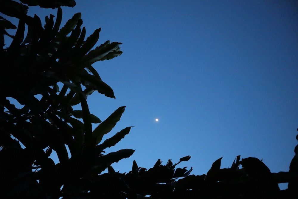 Chamí Glamping Deluxe Bungalow, Mountain View, Mountainside 11