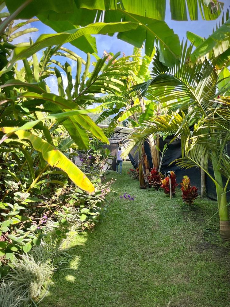 Chamí Glamping Deluxe Bungalow, Mountain View, Mountainside 12