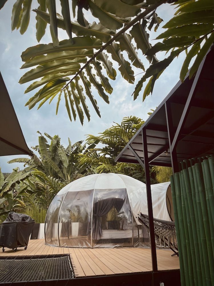 Chamí Glamping Deluxe Bungalow, Mountain View, Mountainside 9