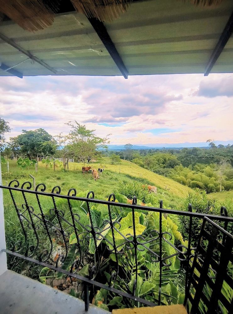 Betania alojamiento rural Comfort Double Room, Balcony, Hill View 10