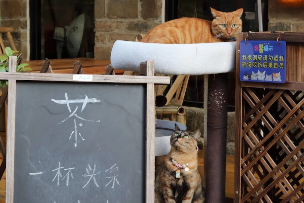 Children's Play Area