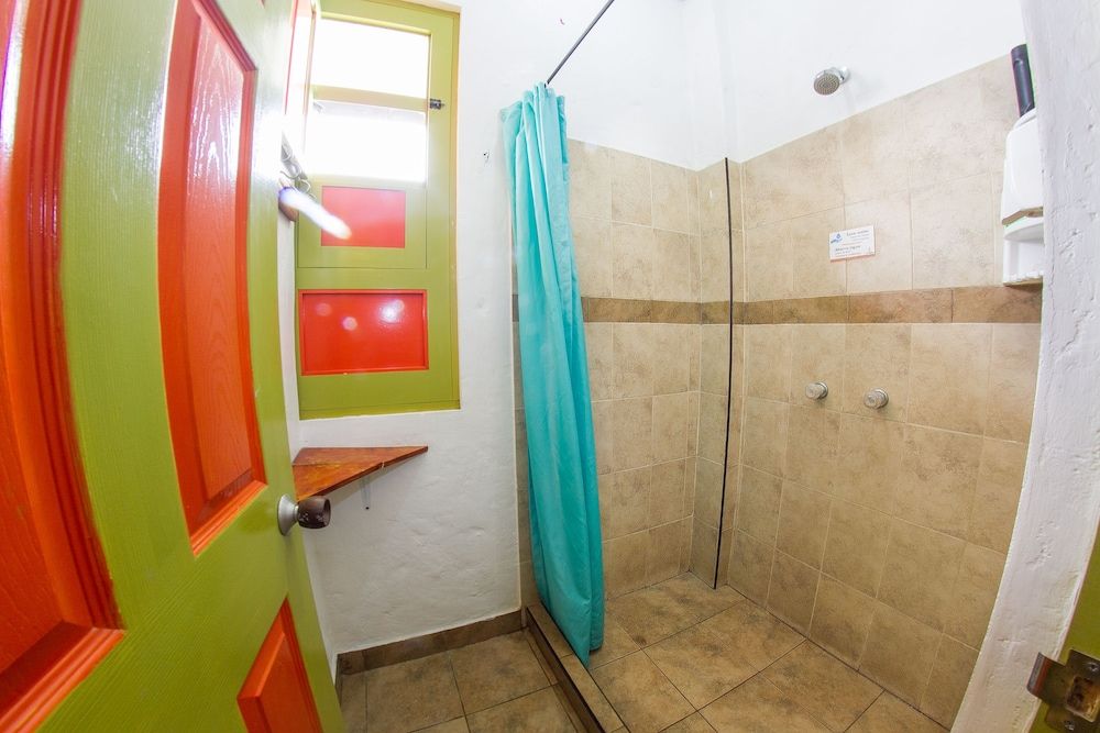 Viajero Salento Hostel Shared Dormitory, Mixed Dorm (6 beds) 3