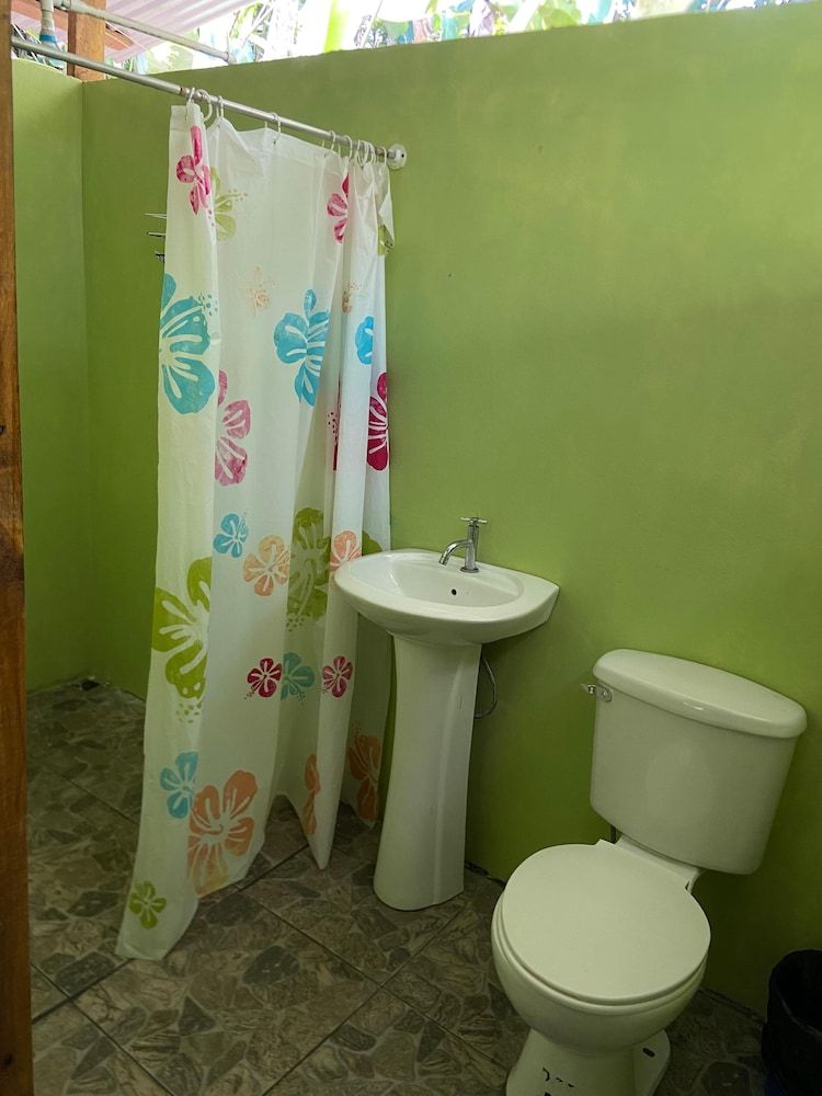 Green Point Motmot 11