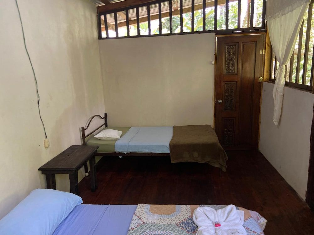 Green Point Motmot 3