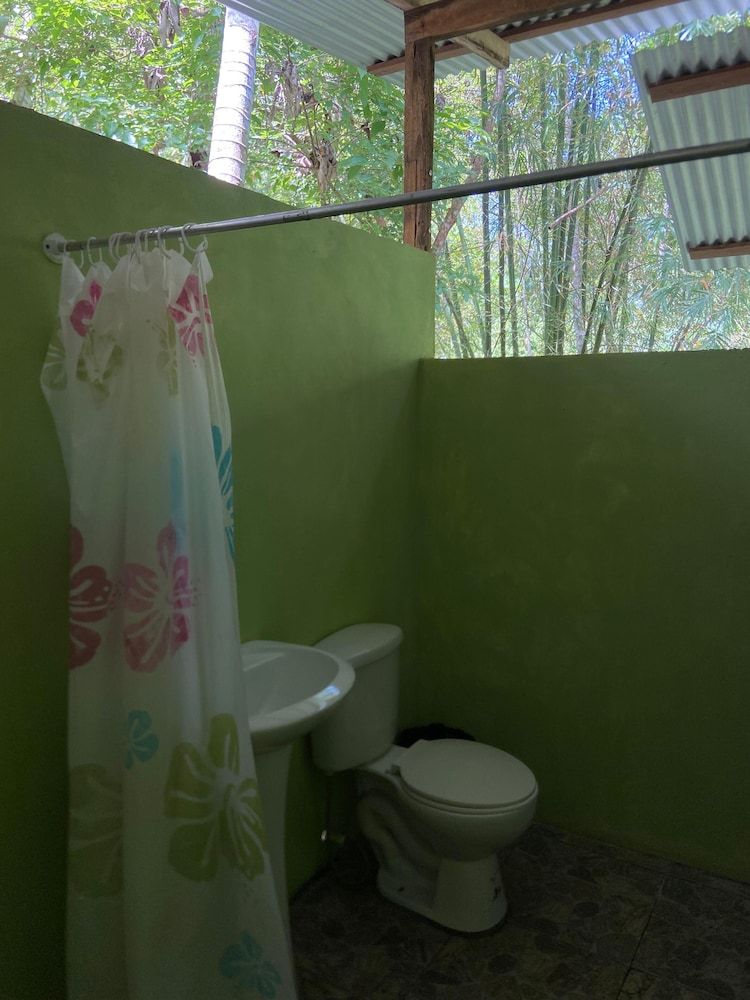 Green Point Motmot 12