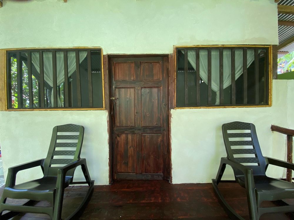 Green Point Motmot 10