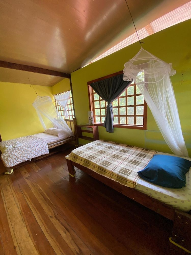 Green Point Gavilan Caracara 4