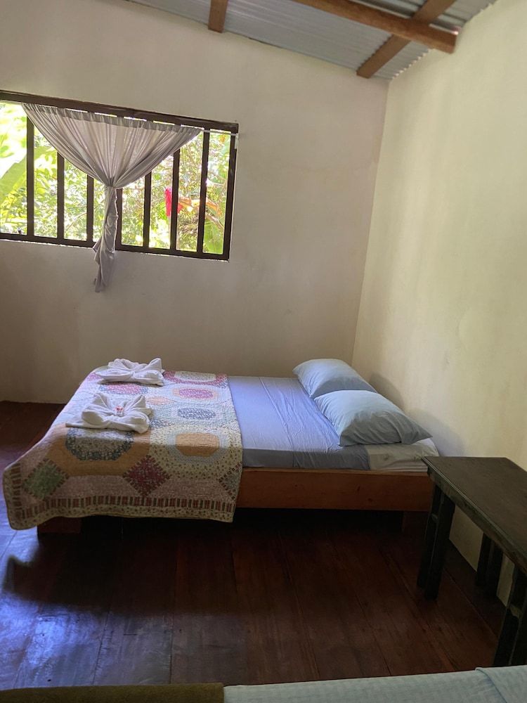 Green Point Motmot 4