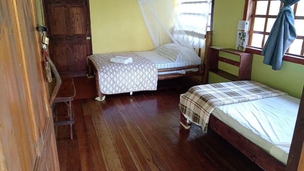 Green Point Gavilan Caracara 3