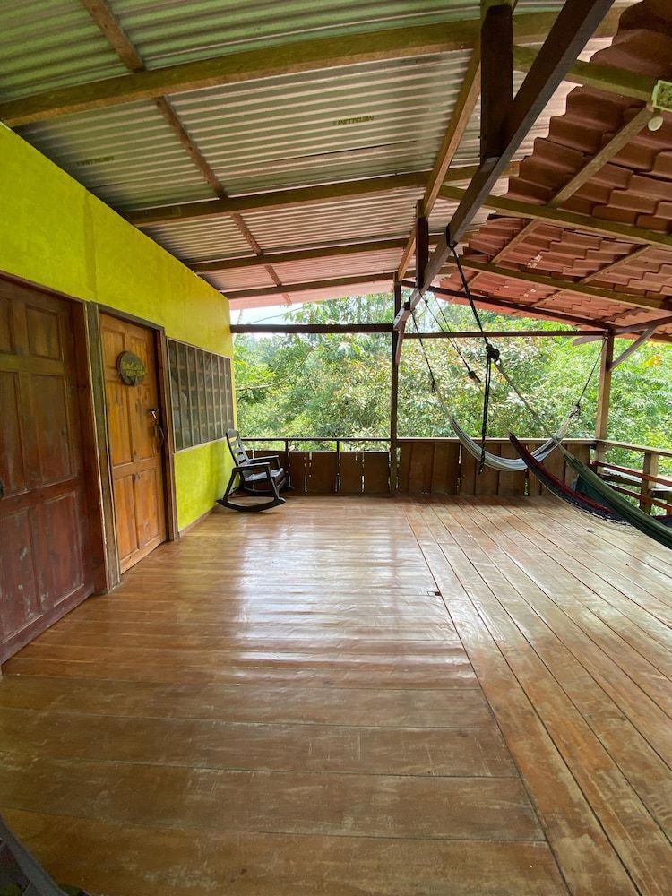 Green Point Gavilan Caracara 12