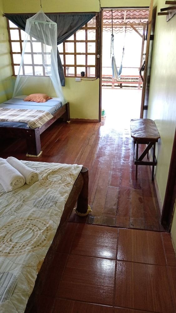 Green Point Gavilan Caracara 2