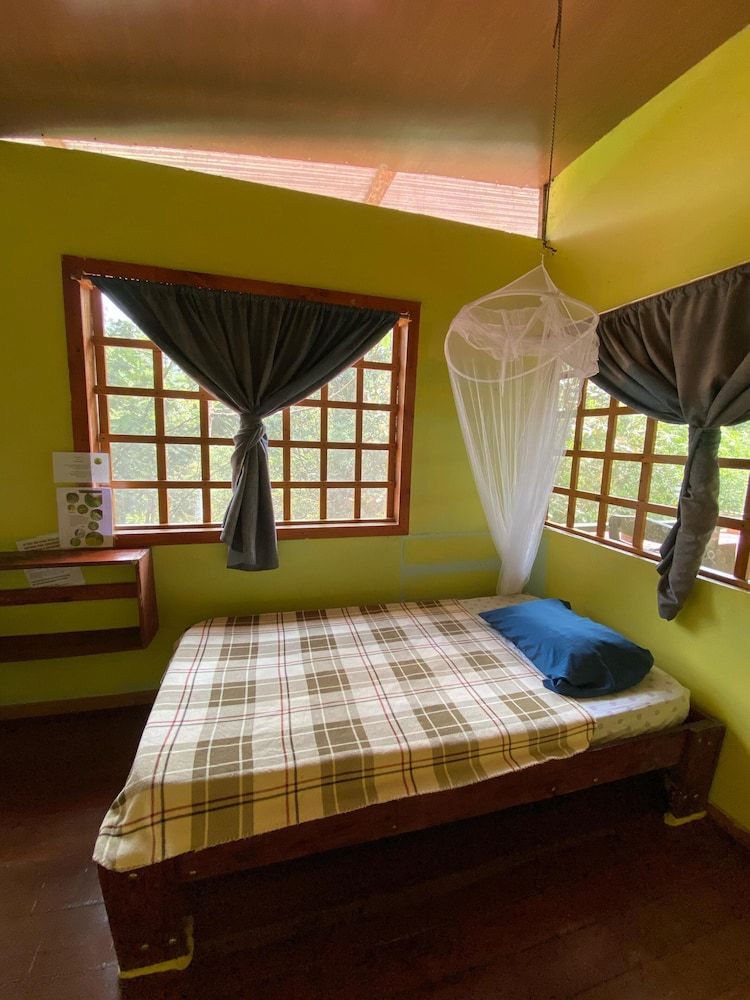 Green Point Gavilan Caracara 8