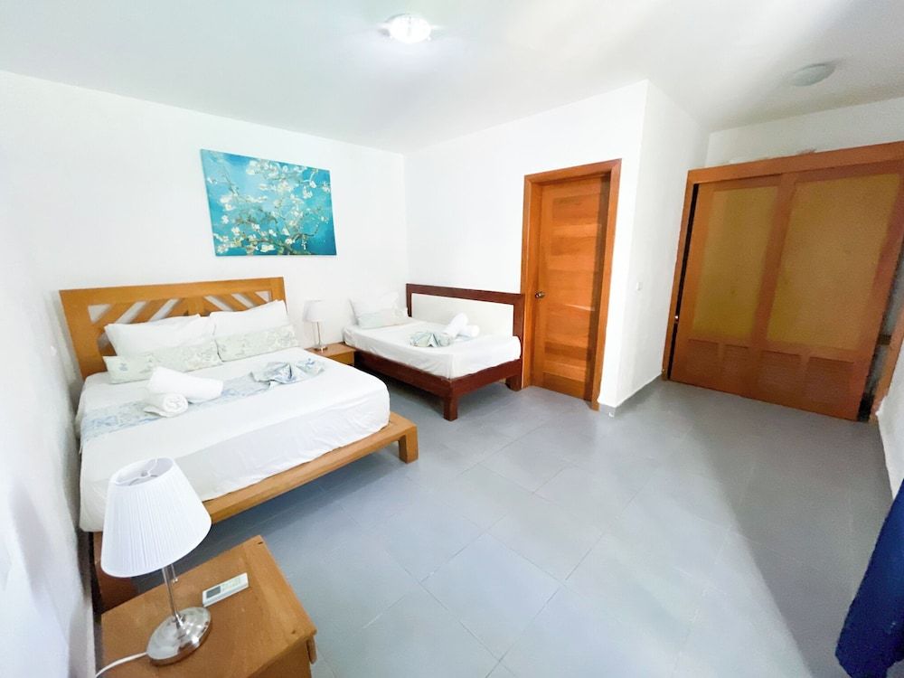 Executive Suite, Garden View