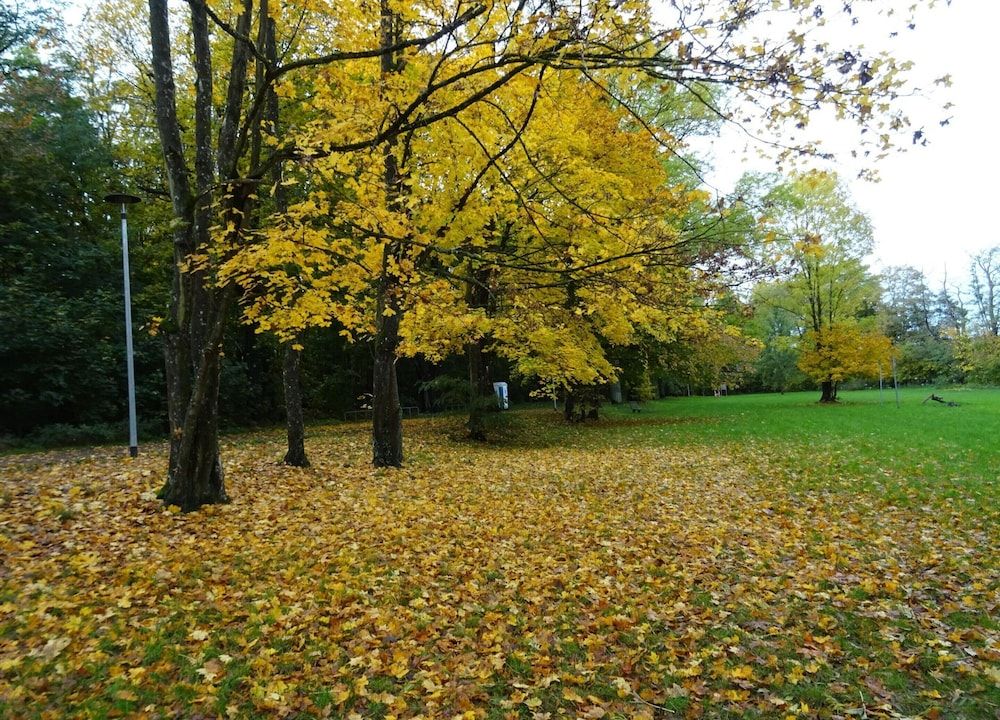 Appartement fur 4 Personen in Strausberg Apartment 25