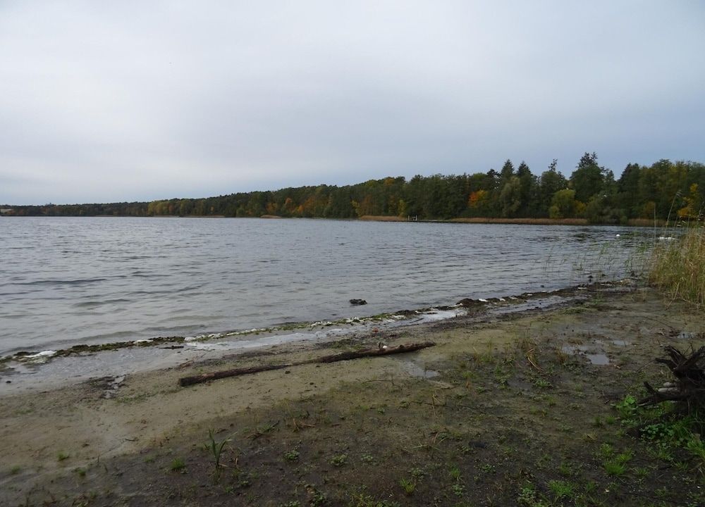 Appartement in Strausberg mit Fruhstuck Inklusive Apartment 28