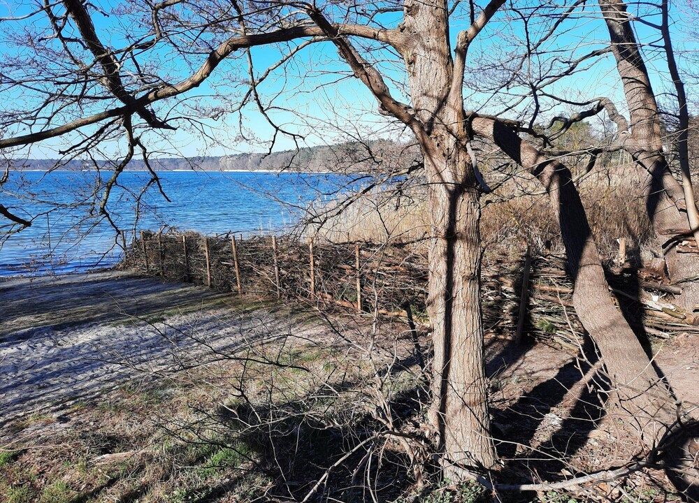 Appartement for 3 pax in Strausberg Apartment 20