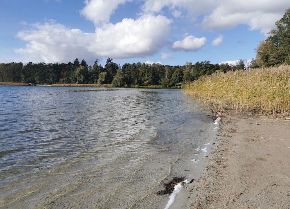 Apartment fur 6 Personen in Strausberg Apartment 31