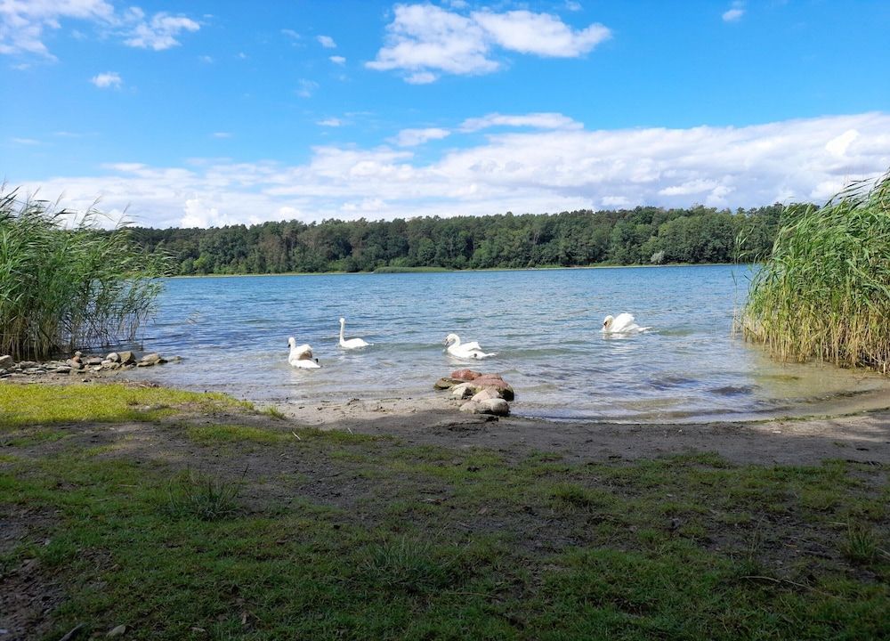 Appartement in Strausberg mit Fruehstueck Inklusive Apartment 36