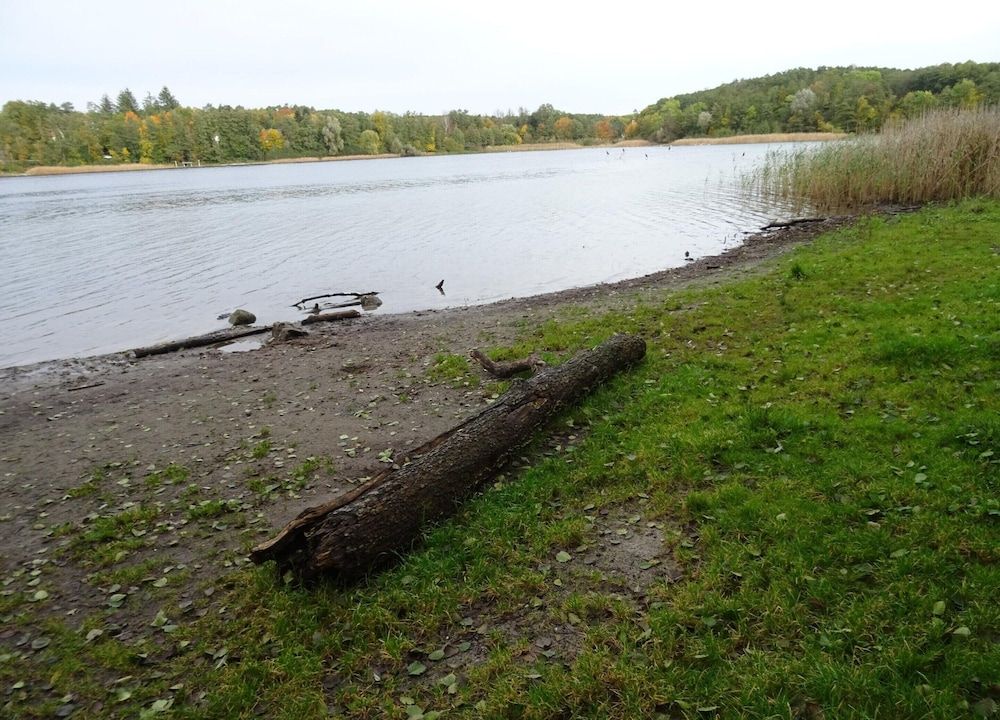 Apartment fur 3 Personen in Strausberg Apartment 27