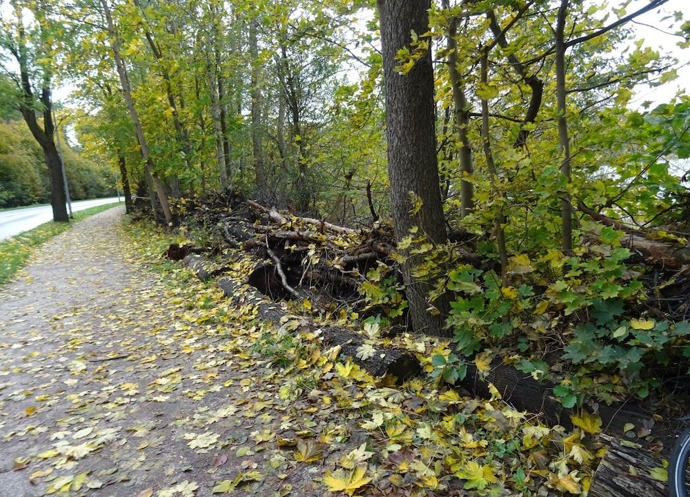 Apartment fur 3 Personen in Strausberg Apartment 34