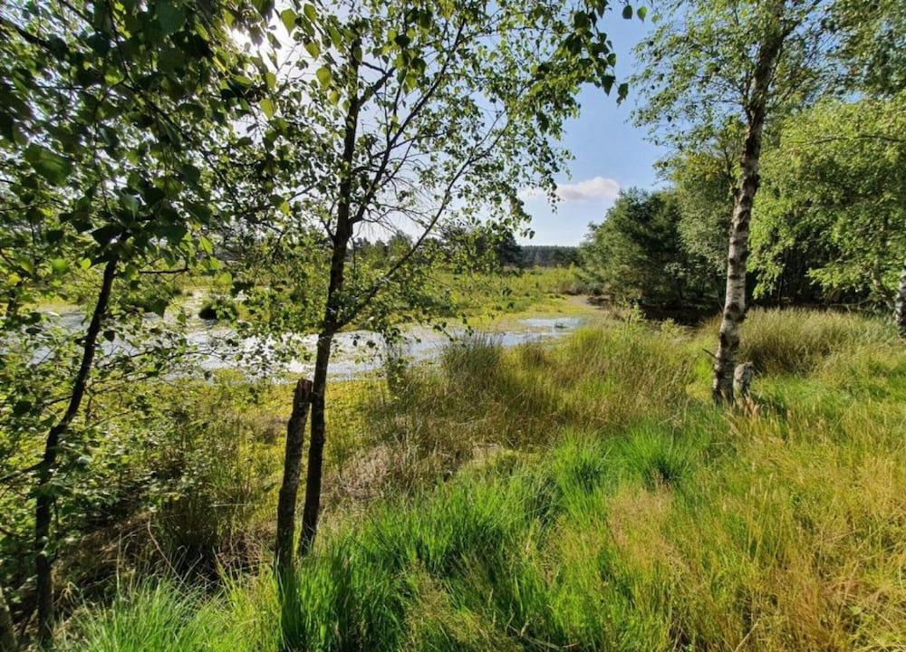 Apartment in Luneburg Near Ski Hall Apartment 17