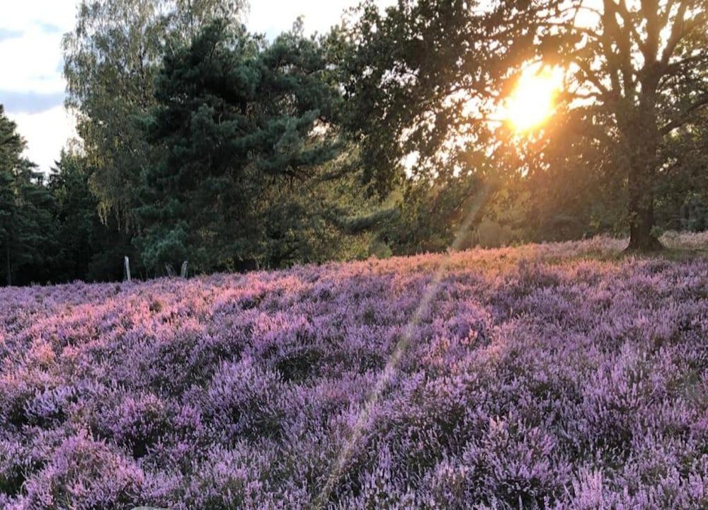 Apartment in Luneburg Near Ski Hall Apartment 19