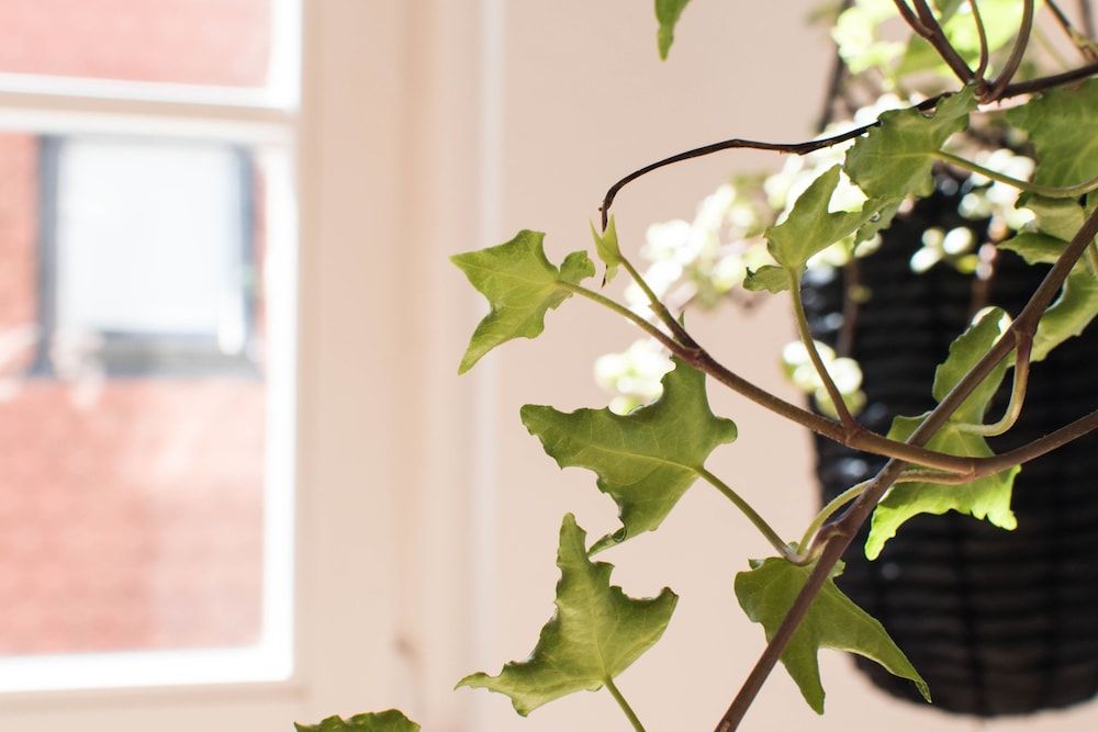 Modern design im klassischen Altbau Design Condo, 2 Bedrooms, Kitchen, City View 6