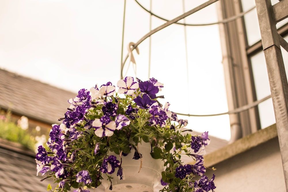 Altstadt Suite Deluxe Condo, 3 Bedrooms, Patio, Beachfront 17