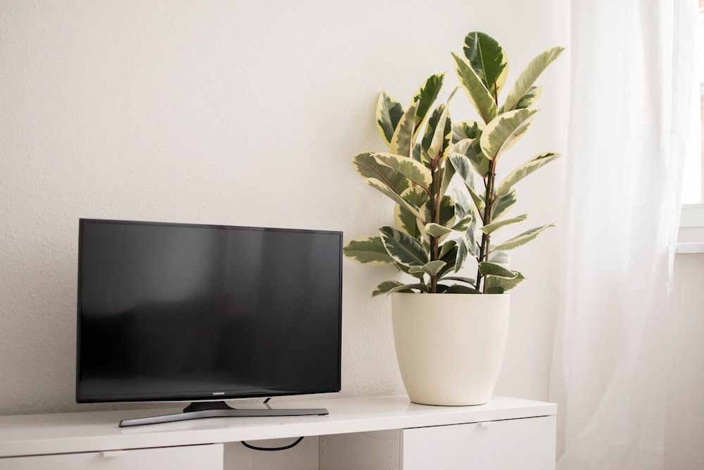 Altstadt Suite Deluxe Condo, 3 Bedrooms, Patio, Beachfront 24