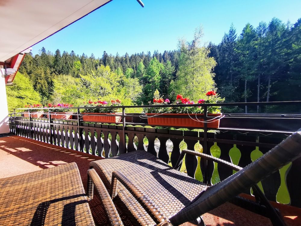 Hotel Langenwaldsee Apartment, Balcony, Lake View (Seeseite) 3