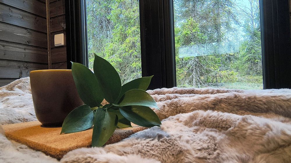 Lapland Fell Village Superior Chalet, Valley View 2