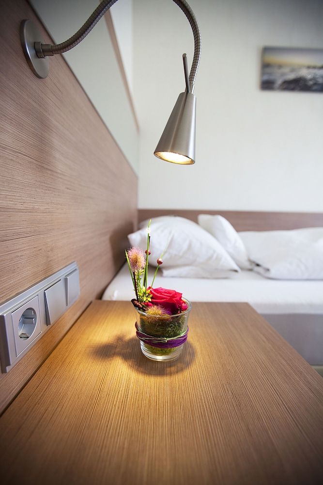 Hotel Rieth Business Single Room 9