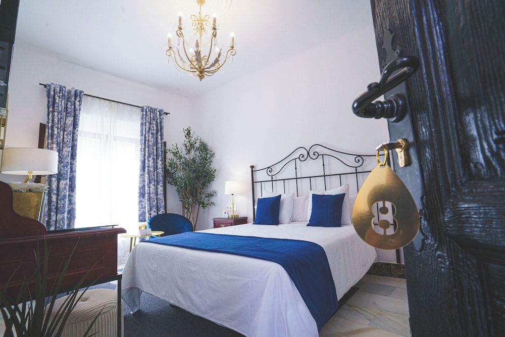Hotel Boutique Palacio de la Duquesa Deluxe Double Room 8