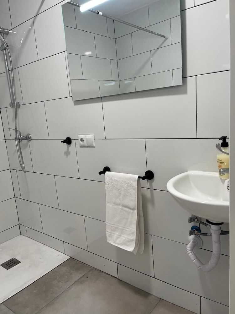 Golondrinas de Alicante.