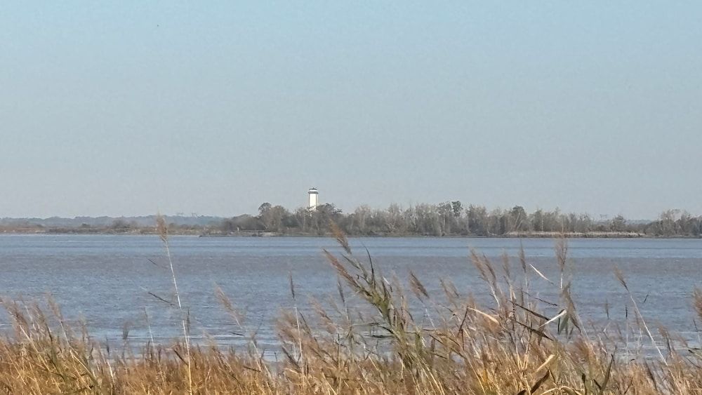 Land View from Property