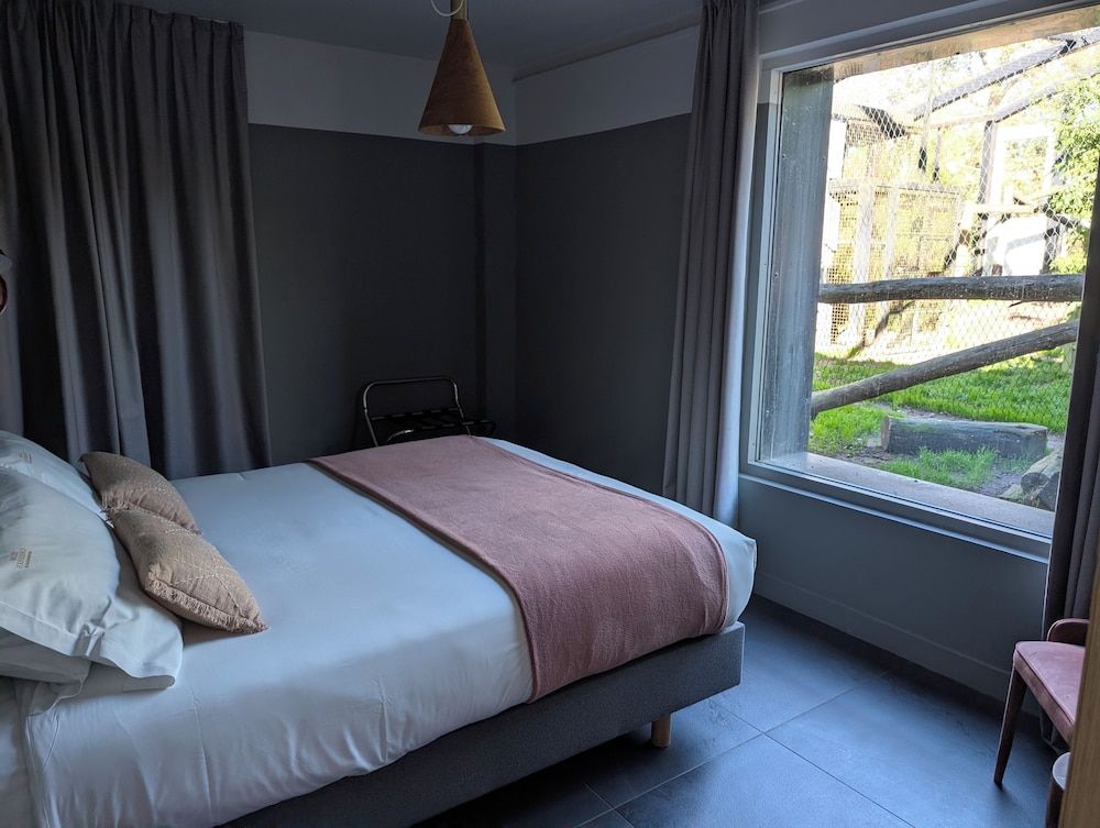 Night Experience By Zoo Bordeaux Pessac Lodge Jaguars & Spa & Diner - Acess to zoo 2