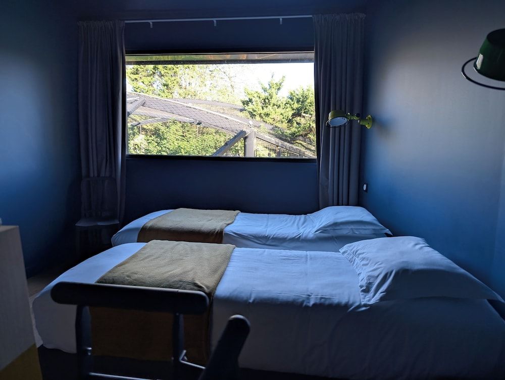 Night Experience By Zoo Bordeaux Pessac Lodge Jaguars & Spa & Diner - Acess to zoo 3