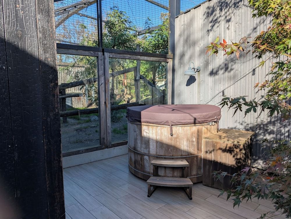 Night Experience By Zoo Bordeaux Pessac Lodge Jaguars & Spa & Diner - Acess to zoo 11