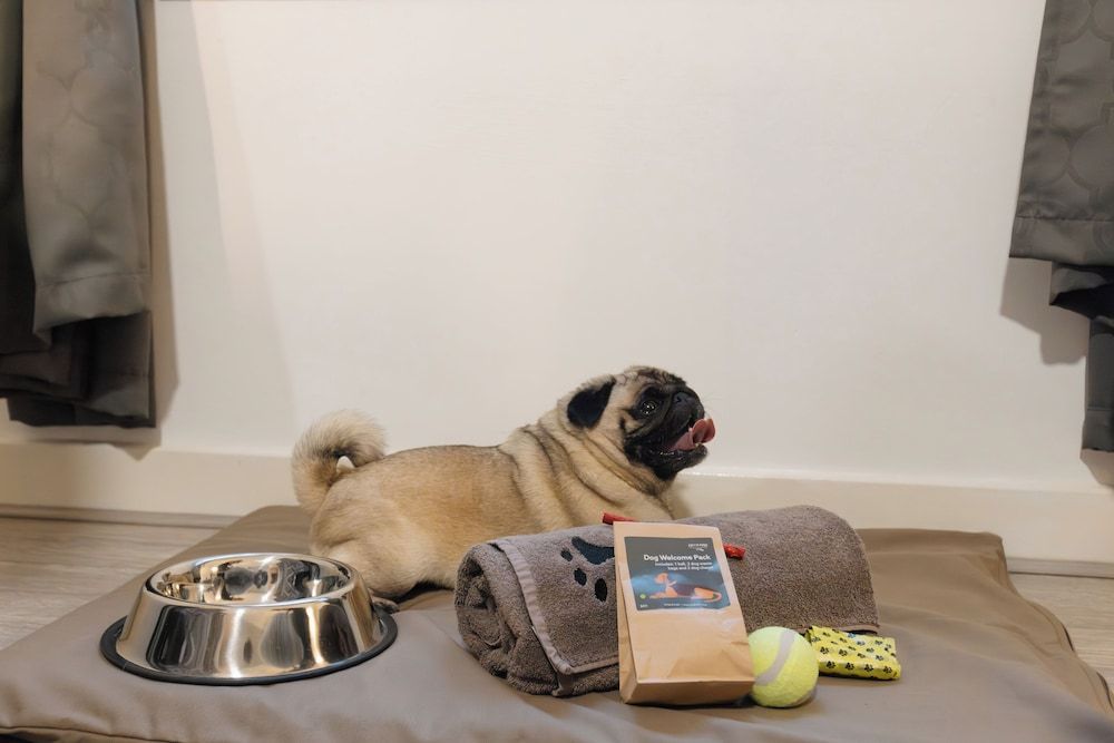 Durrant House Hotel Standard Twin Room 14