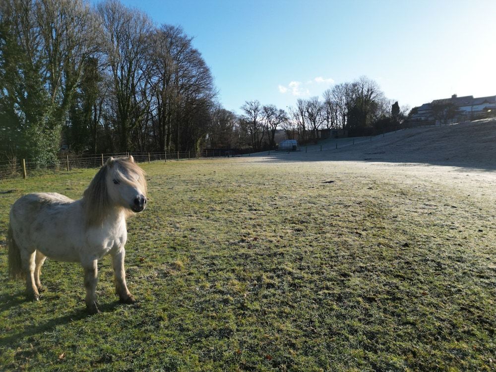 Lydvale Lodge in Lifton Studio 16
