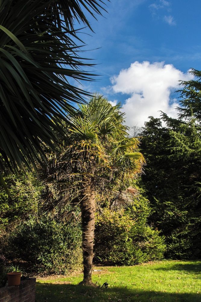 Calm Private Annex Ideal to Work, Rest & Explore House, 1 Bedroom, Garden View 26