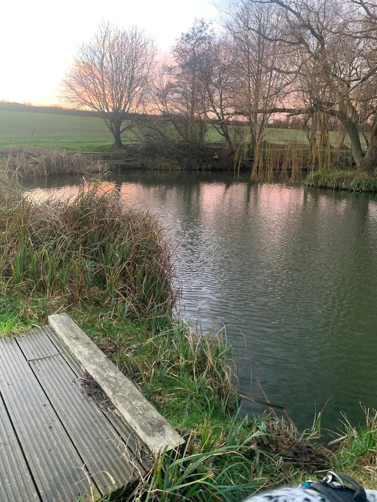 Calm Private Annex Ideal to Work, Rest & Explore House, 1 Bedroom, Garden View 20