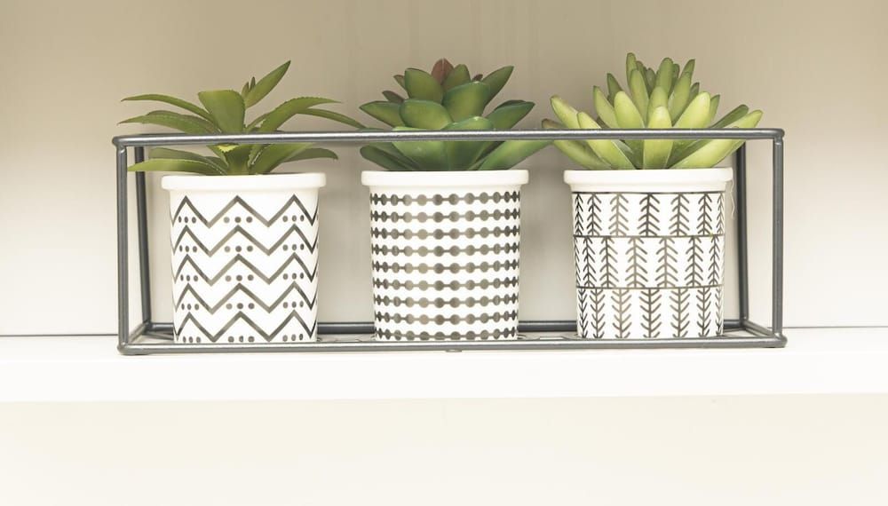 Phoenix Park Villas Portmore Family House, Garden View 23