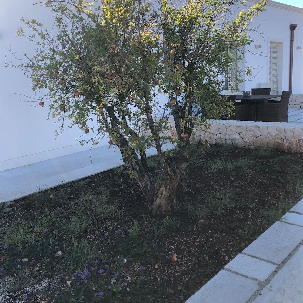 Villa Itriò Comfort Triple Room, Pool View 8