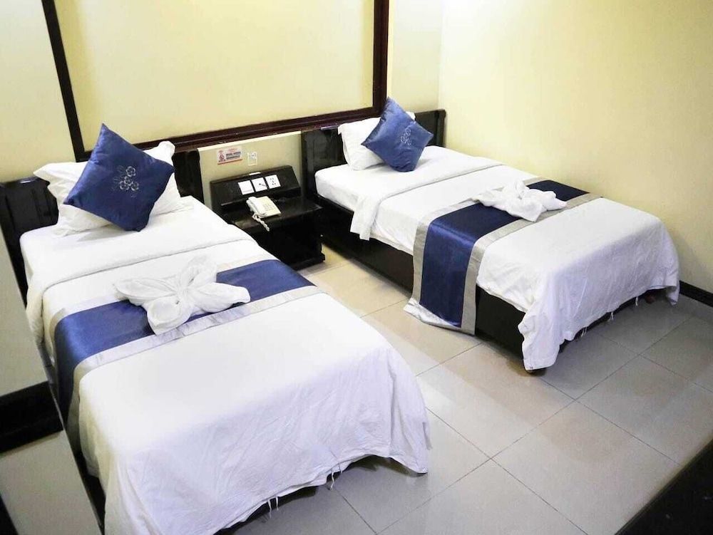 Deluxe Double or Twin Room, City View